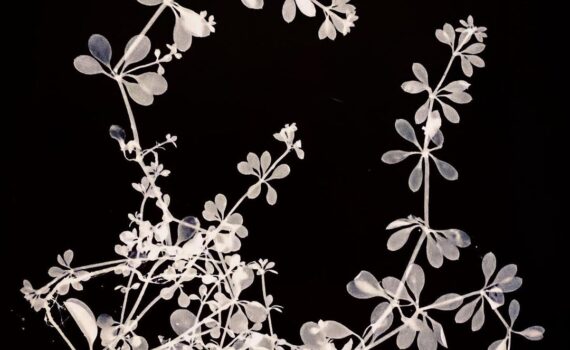 FRIDAY FAVOURITES #POSITIVENEGATIVE