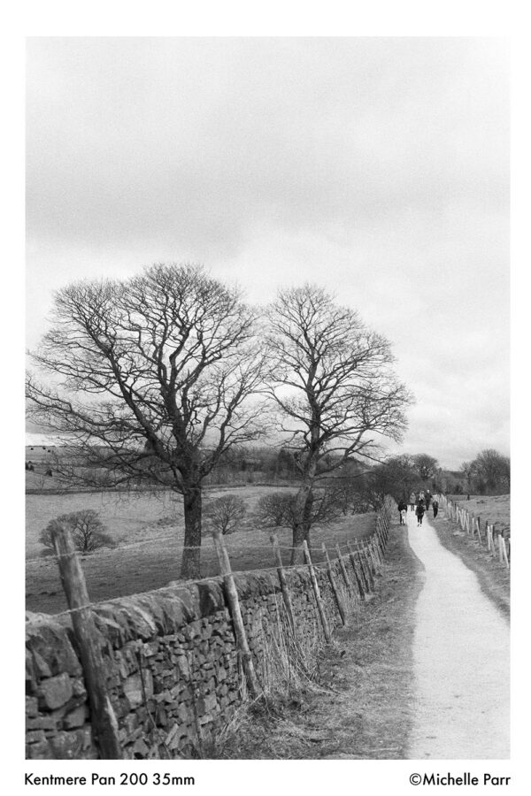 Kentmere 200