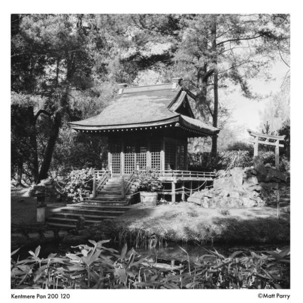 Kentmere 200