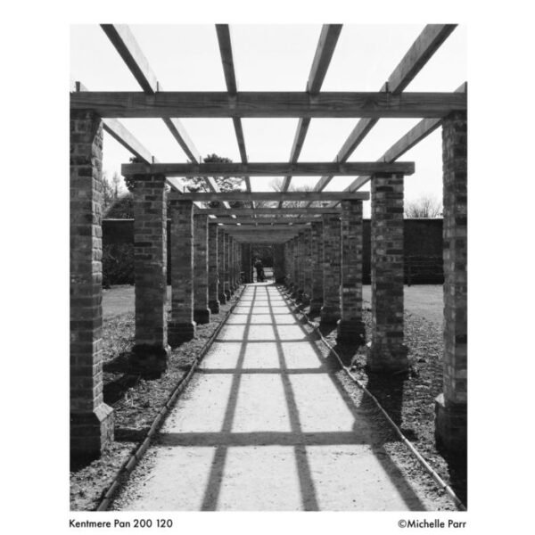 Kentmere 200