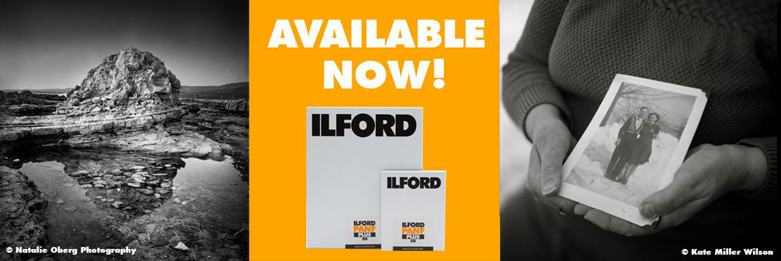 ILFORD PAN F PLUS Sheet Film